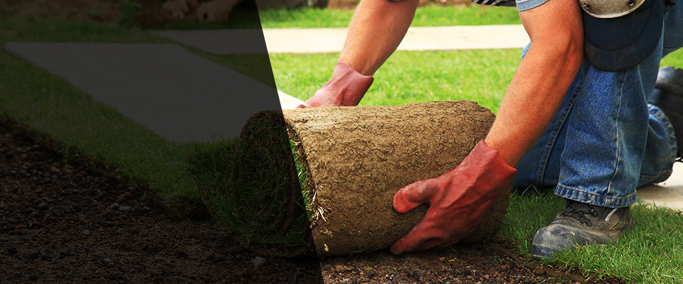 Delaware Landscapers